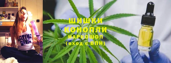 соль ск Инсар