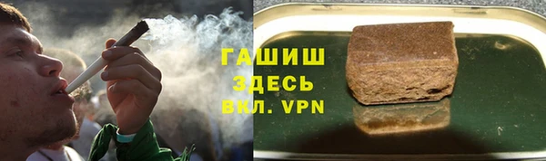 соль ск Инсар