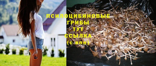 кокс Иннополис