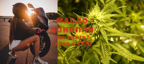 индика Балашиха