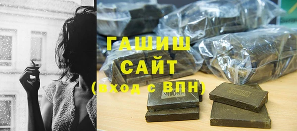 соль ск Инсар